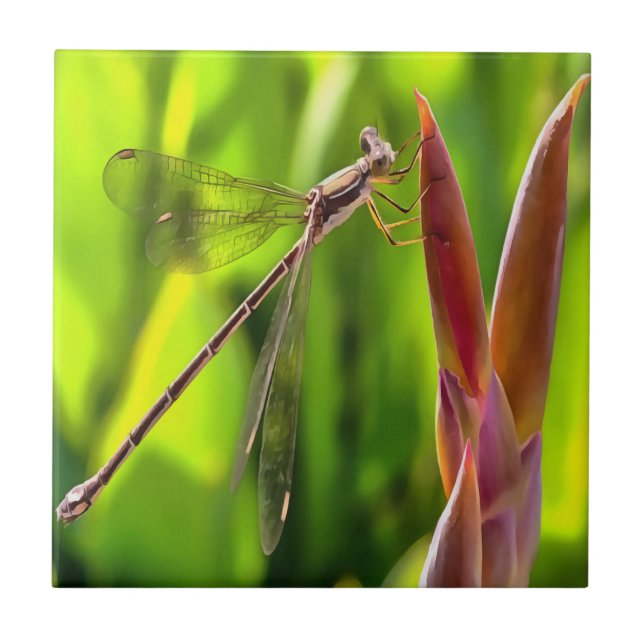 Damselfly Balanced On A Flower Head Ceramic Tile (Front)
