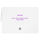 Damselfly Cards (Back Horizontal)
