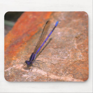 Damselfly Dragonfly Nature Mouse Pad