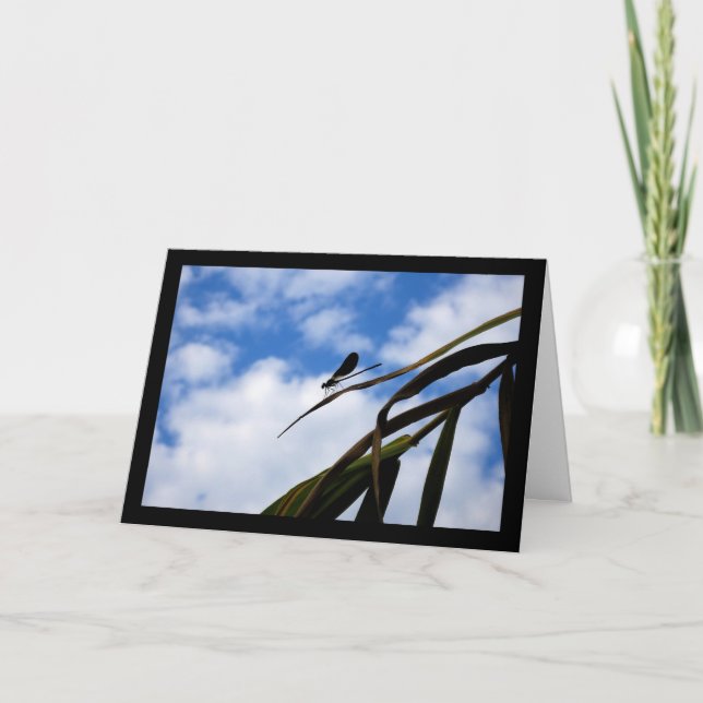 Damselfly in Blue Sky Card (Front)