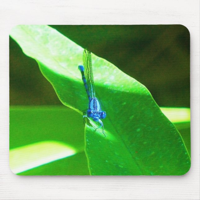 Damselfly Mouse Pad (Front)