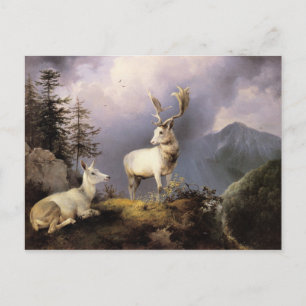 Damwild, Friedrich Gauermann, 1833 Postcard