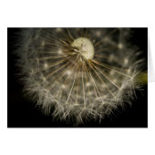 Dan D Lion Card (Front Horizontal)