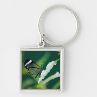 Dana Keychain