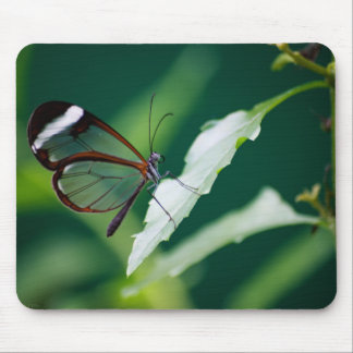 Dana Mousepad