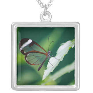 Dana Necklace