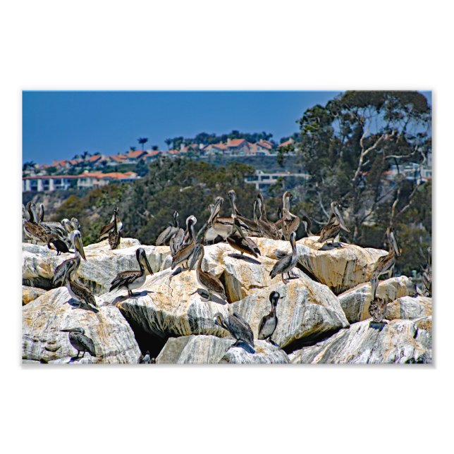 Dana Point Photo Print (Front)