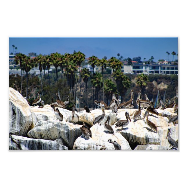 Dana Point Photo Print (Front)