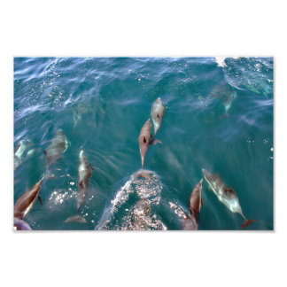 Dana Point Photo Print