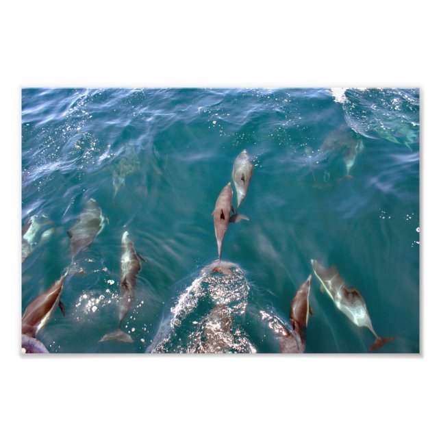 Dana Point Photo Print (Front)