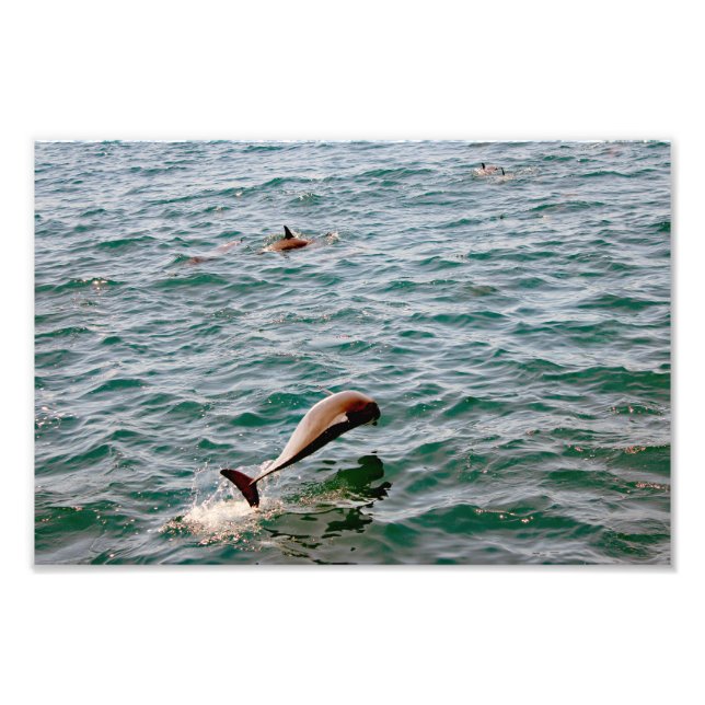 Dana Point Photo Print (Front)