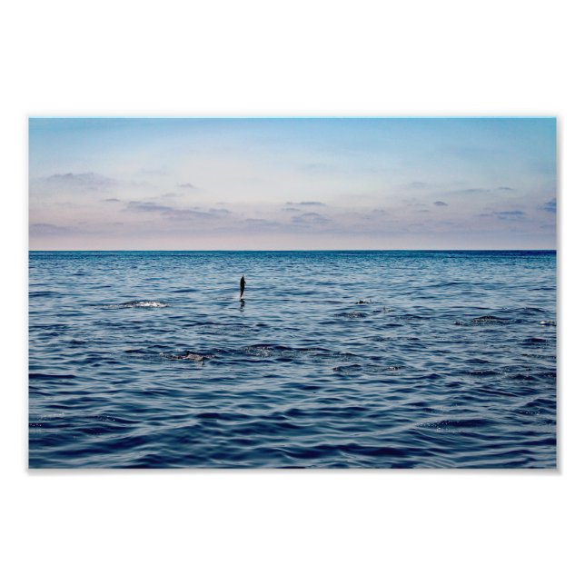 Dana Point Photo Print (Front)