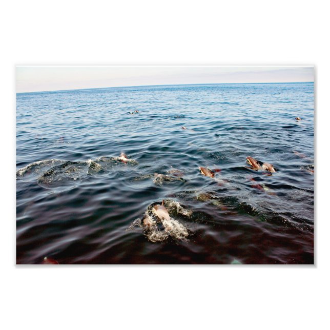 Dana Point Photo Print (Front)