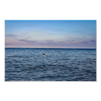 Dana Point Photo Print