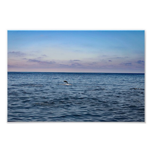 Dana Point Photo Print (Front)