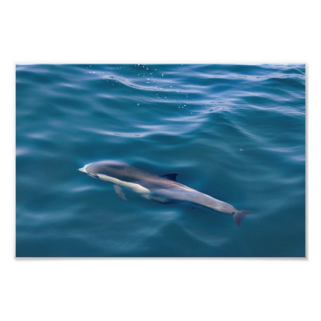 Dana Point Photo Print (Front)