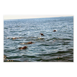 Dana Point Photo Print