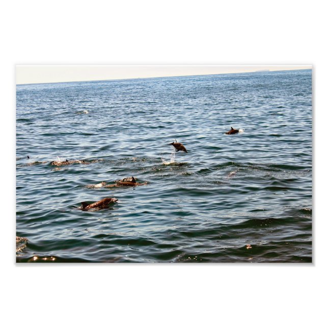 Dana Point Photo Print (Front)