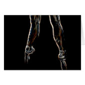 Dance (Front Horizontal)