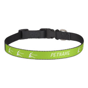 DANCE custom text & color pet collars