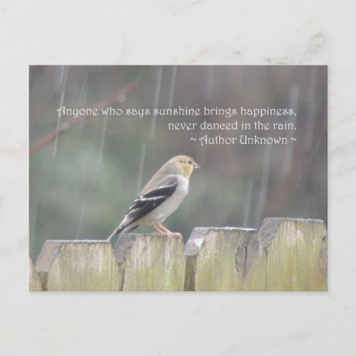 Dance in the Rain Goldfinch Postcard