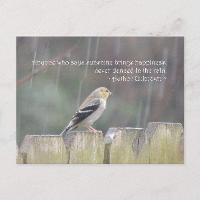 Dance in the Rain Goldfinch Postcard (Front)