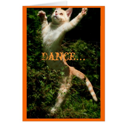 Dance like no one is looking, Dance... Cards (Front)