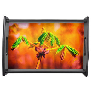 Dance Of Fire Serving Tray