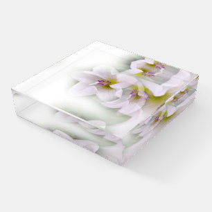 dance of flowers paperweight