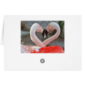 Dance of Love Cards (Back Horizontal)