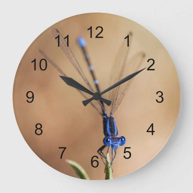 Dance of the Damselfly Large Clock (Front)