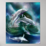 Dance Of The Dolphins Art Poster/Print Poster