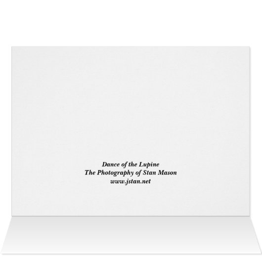 Dance of the Lupine (Inside Horizontal (Top))