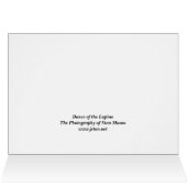 Dance of the Lupine Cards (Inside Horizontal (Top))