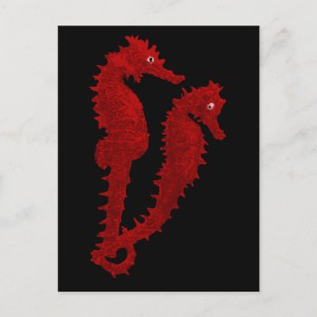 Dance Of The Seahorses (red) Postcard by Lace9lives at Zazzle