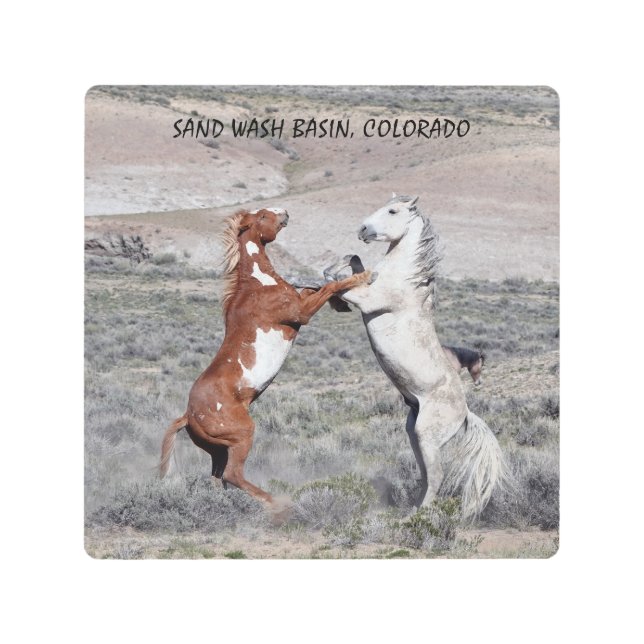 DANCE OF THE STALLIONS PATIO PILLOW METAL PRINT (Front)