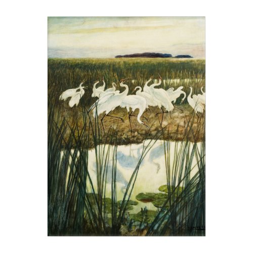 Dance of the Whooping Cranes 1939 by N C Wyeth Acrylic Print