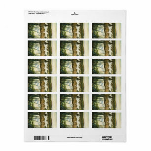 Dance of the Whooping Cranes, 1939 by N. C. Wyeth Label