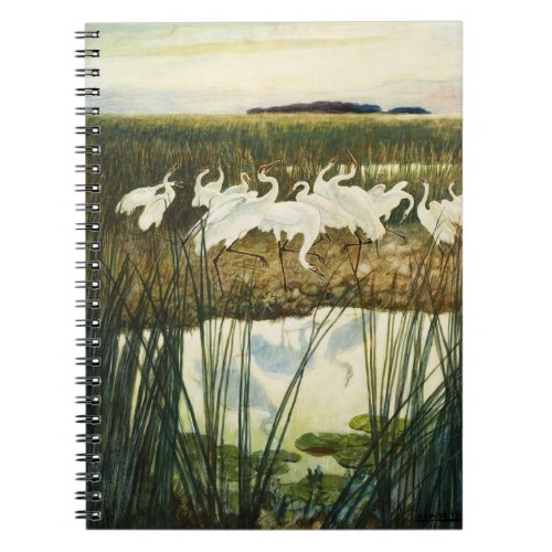 Dance of the Whooping Cranes 1939 by N C Wyeth Notebook