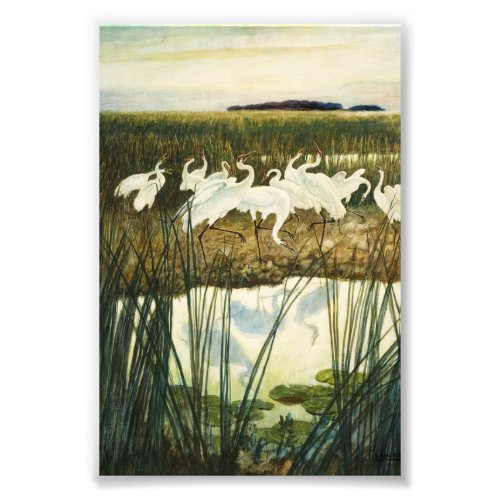 Dance of the Whooping Cranes by N C Wyeth Photo Print