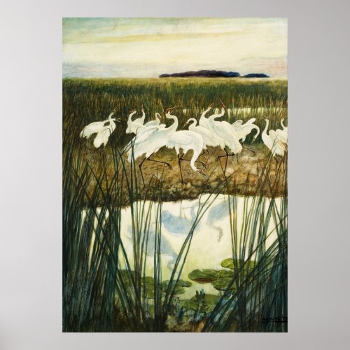 Dance of the Whooping Cranes by N C Wyeth Poster