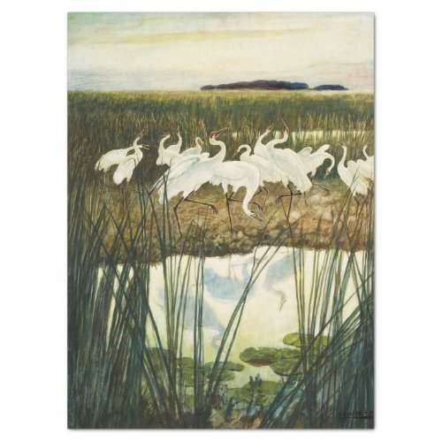 Dance of the Whooping Cranes by N C Wyeth Tissue Paper