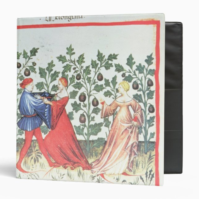 Dancers in front of Broom Plants, 13th century 3 Ring Binder (Front/Inside)