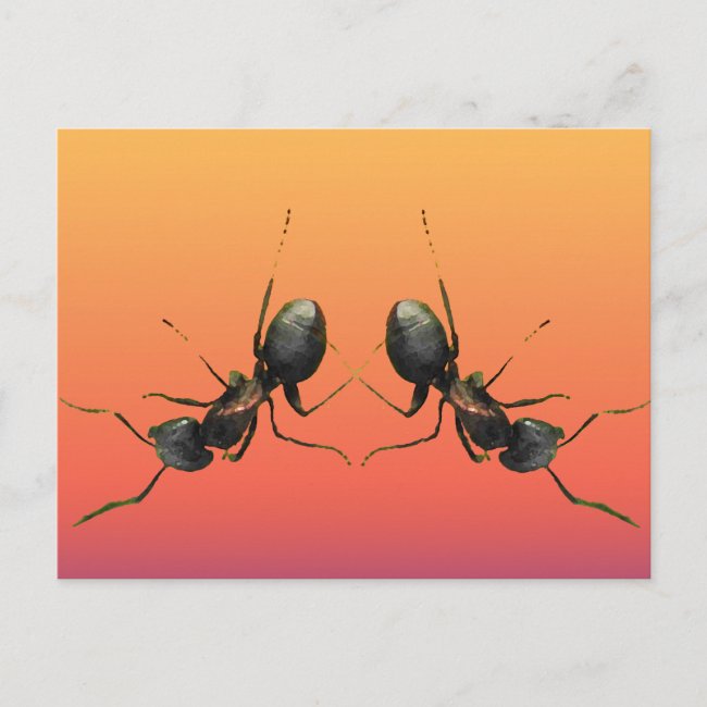 Dancing Ants