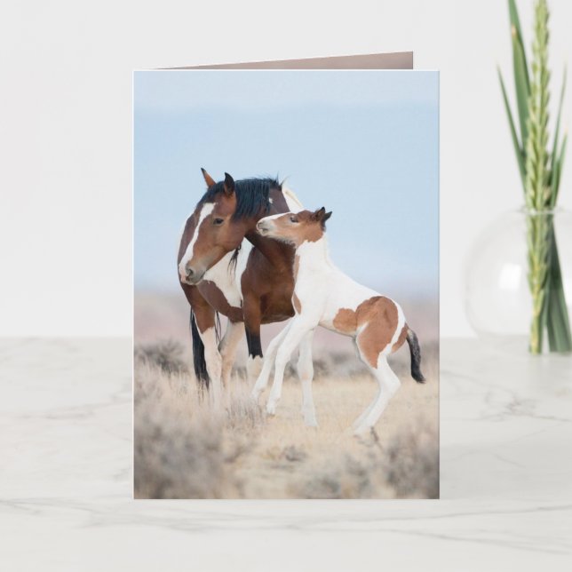 Dancing at Dawn Wild Horse Greeting Card (Front)