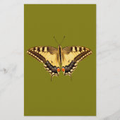 Dancing Butterfly (Front)