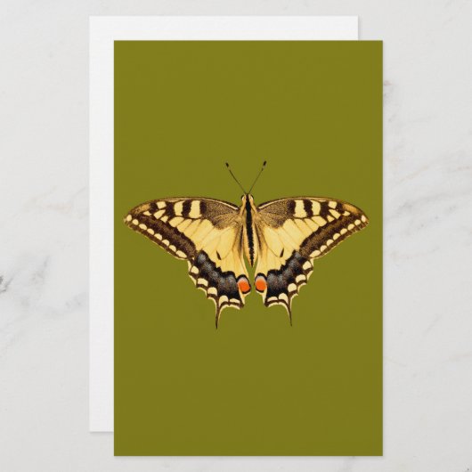 Dancing Butterfly (Front/Back)