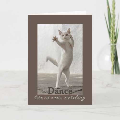 Dancing Cat Birthday Card