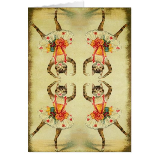 Dancing Cat Cards (Front)