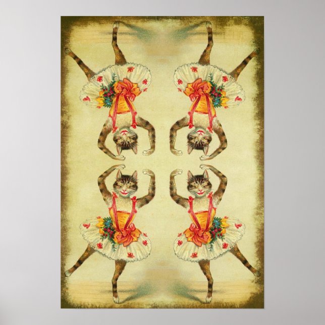 Dancing Cat Poster (Front)